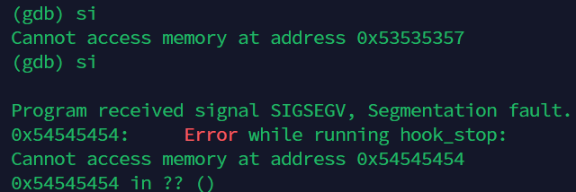 segmentation_fault